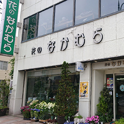 お花のしごと