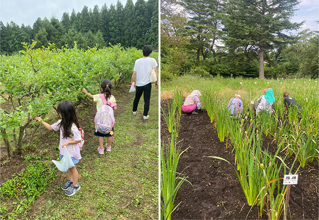 きれいな花を咲かせるために