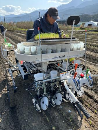 ネギ移植機