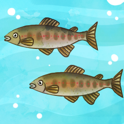 川魚を育てる人のおしごと
