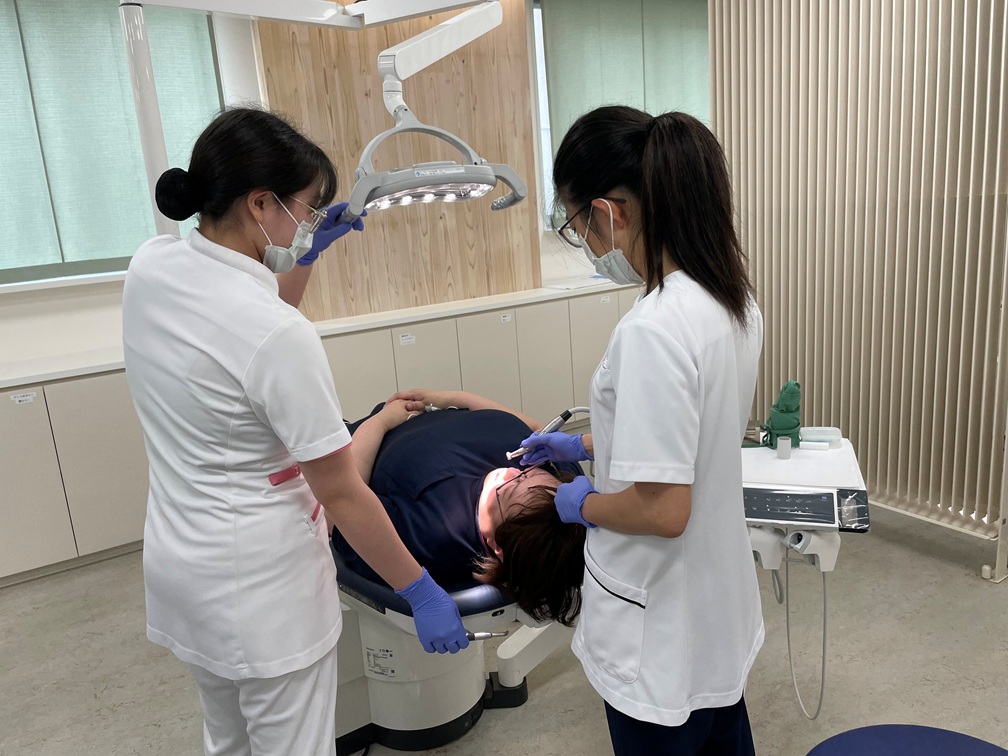 歯科医師の仕事