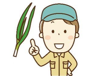 九条ネギのおしごと