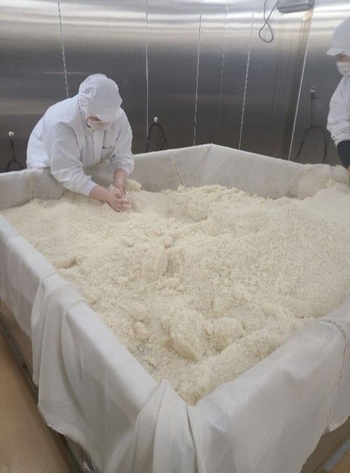 米麹作り　手入れ