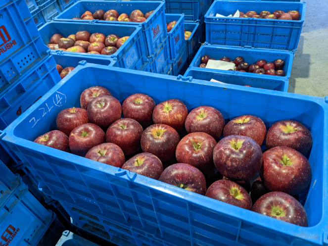 市場には野菜や果物が集合！