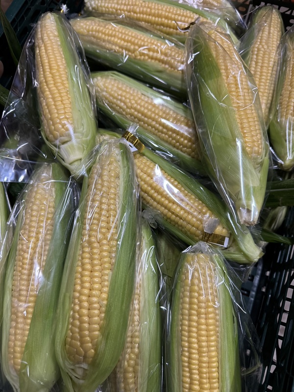 出荷作業